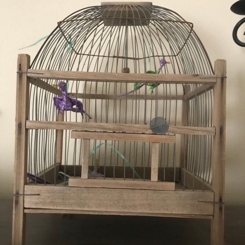 Decorative birdcage